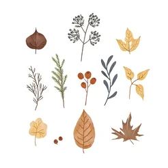 Free book club clipart of fall leaves flatlay